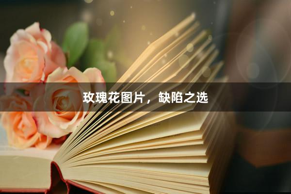 玫瑰花图片，缺陷之选